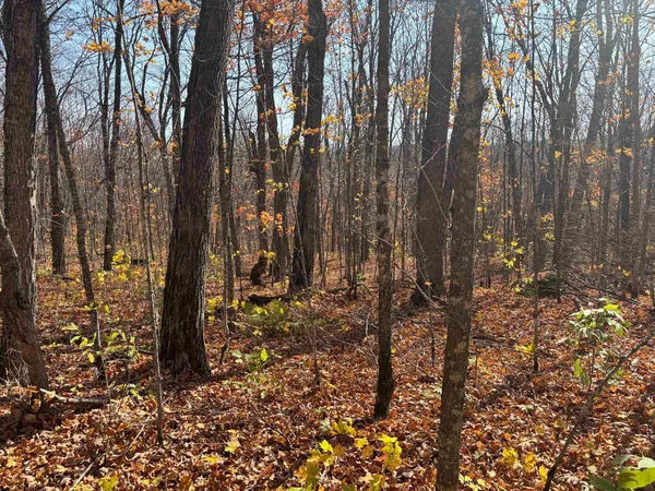 $389,900 | Xx West Deeryard Lake Road, Lutsen, MN 55612