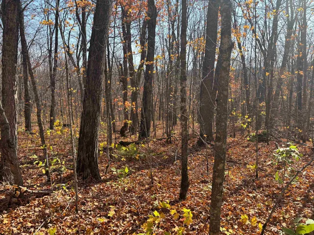 $389,900 | Xx West Deeryard Lake Road, Lutsen, MN 55612