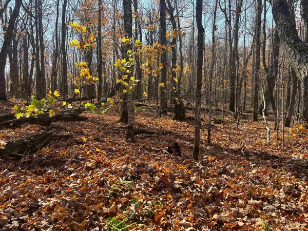 $389,900 | Xx West Deeryard Lake Road, Lutsen, MN 55612