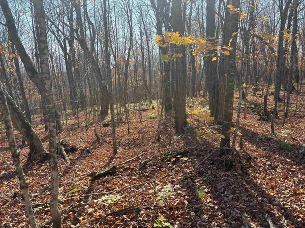 $389,900 | Xx West Deeryard Lake Road, Lutsen, MN 55612