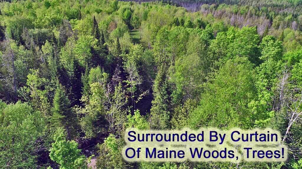 195 Dagget Road Houlton, ME 04730 - Photo 41 of 54 private-me-woodlot