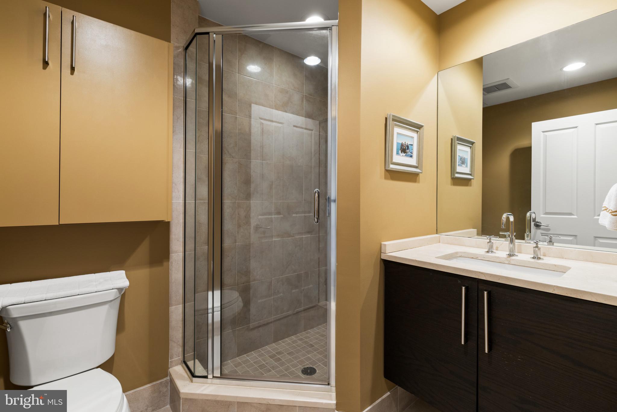 801 Key Highway, Unit 110 Baltimore, MD 21230 - Photo 44 of 78 Full Hall Bathroom