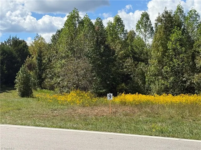 $32,600 | Lot 9 Park Springs Road, Providence, NC 27315