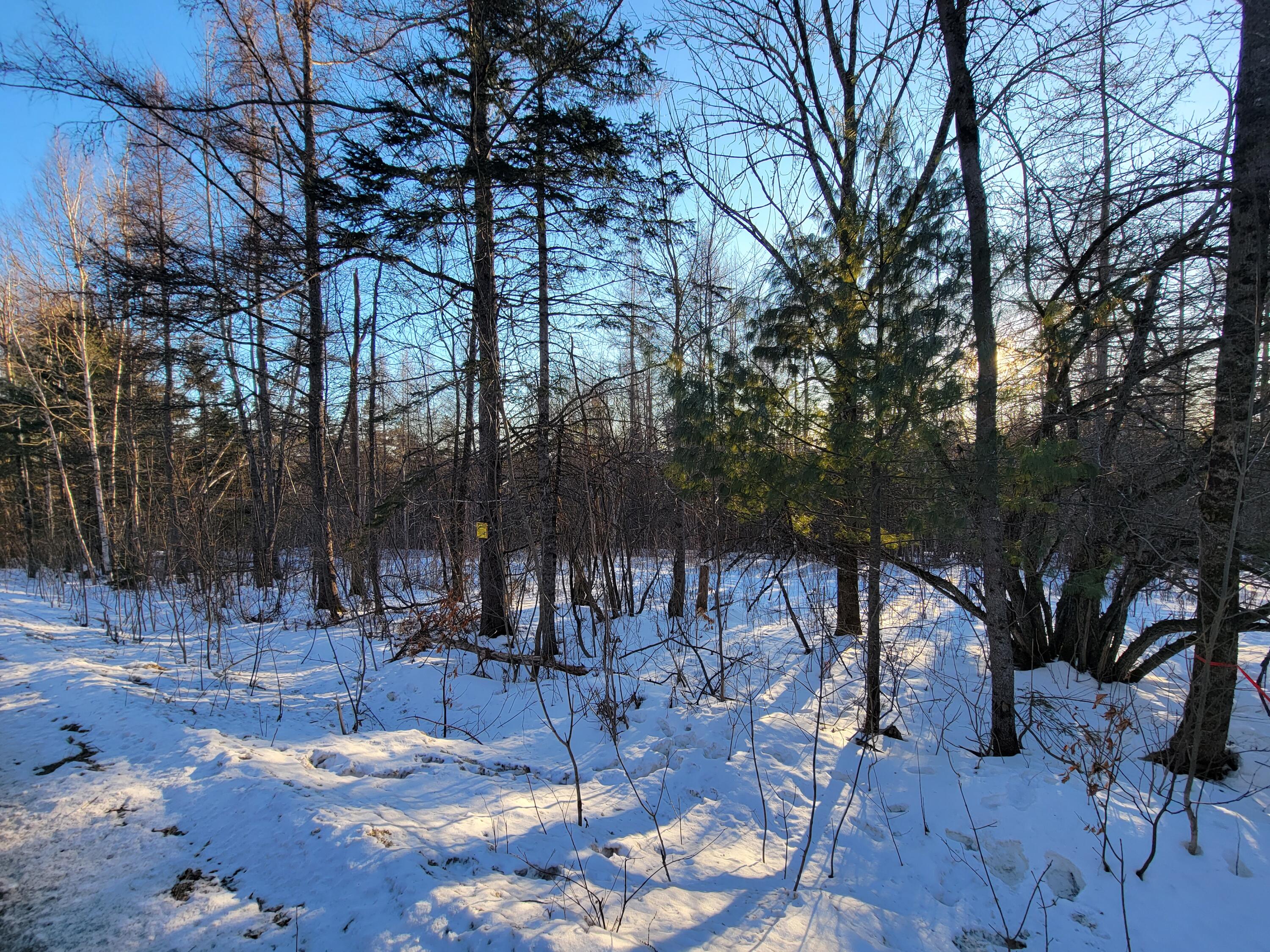 Lot 26-1 Map 4 Billington Road Milo, ME 04463 - Photo 19 of 20 20240219_161149