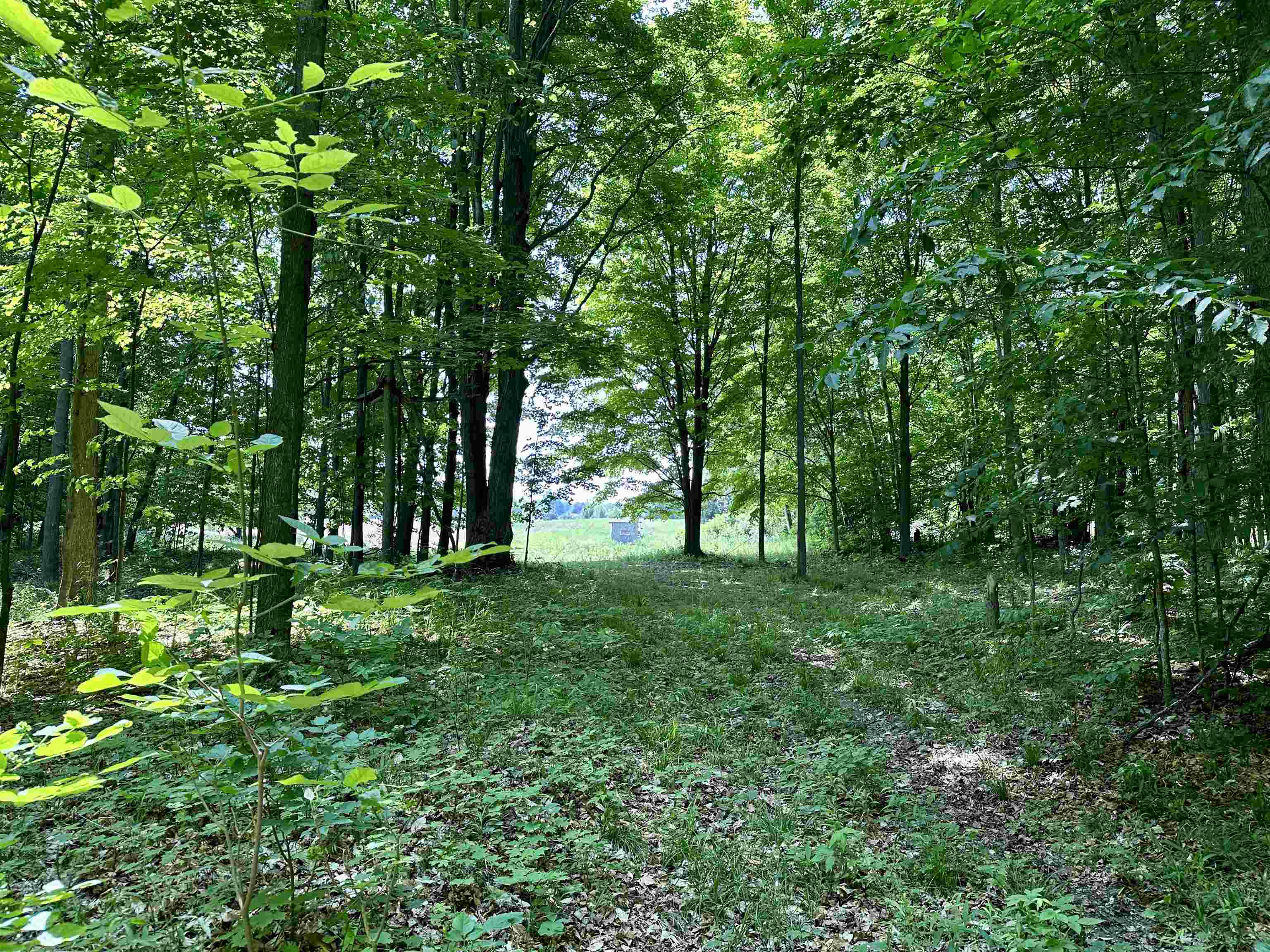 4892 Hamlin Road Grawn, MI 49637 - Photo 62 of 63