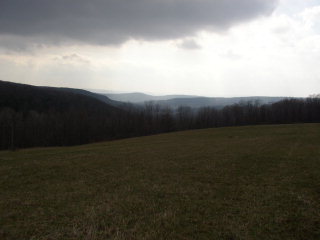 1500 Hogback Road Baldwin, NY 14861 - Photo 1 of 1 Gallery Image 1