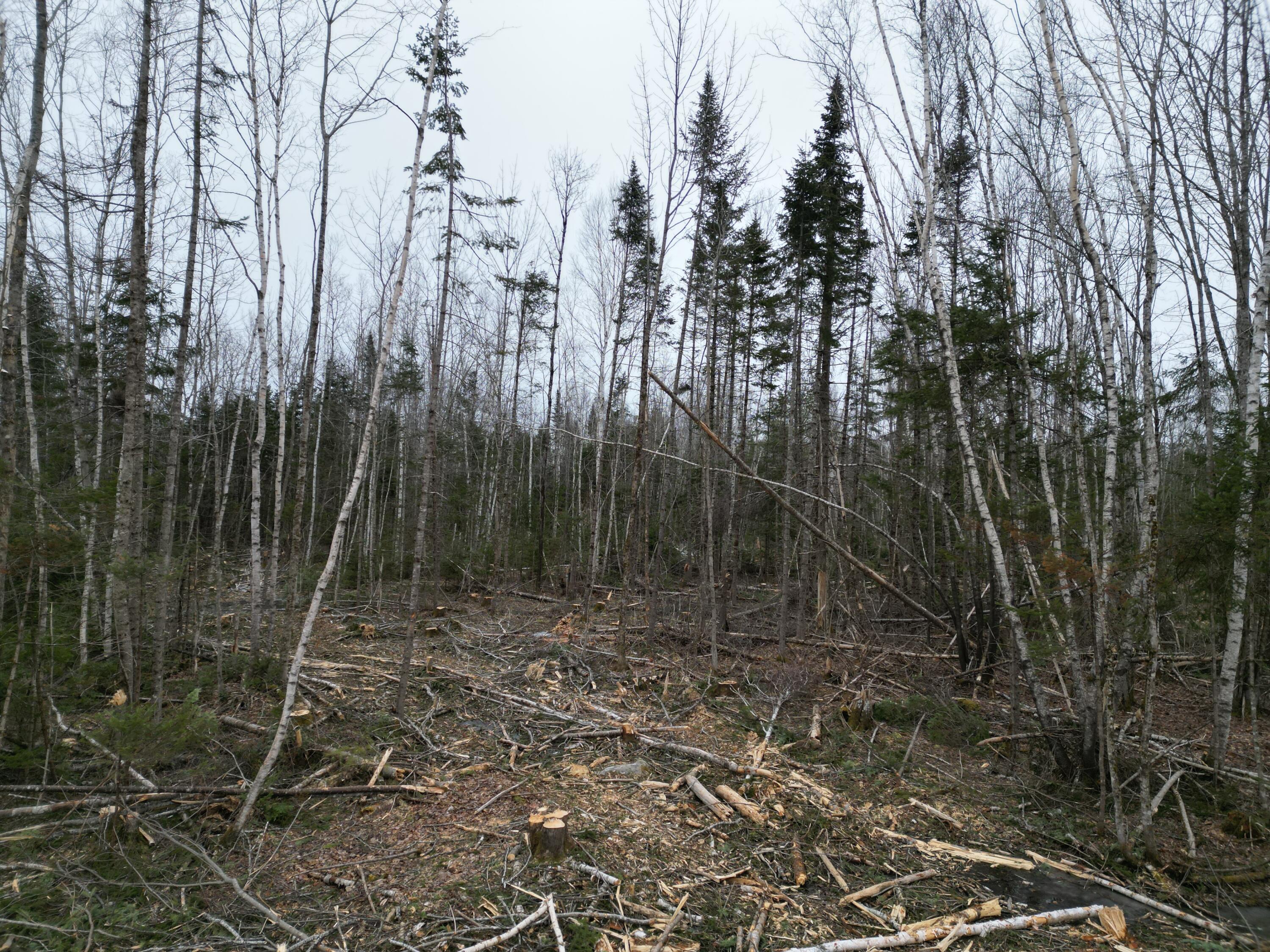 Lot 52.3 Lagrange Road Milo, ME 04463 - Photo 12 of 24 DJI_0239