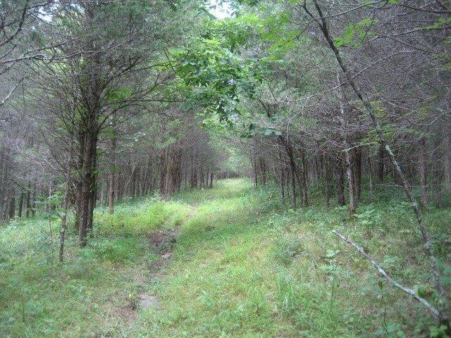 1670 Greene Road Owenton, KY 40359 - Photo 4 of 22 Photo 4