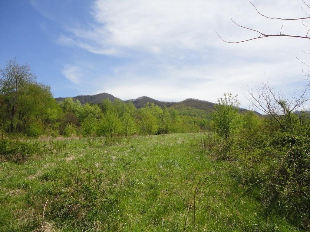 Tbd Ted Brown Road Chuckey, TN 37641 - Photo 1 of 1 Photo 1