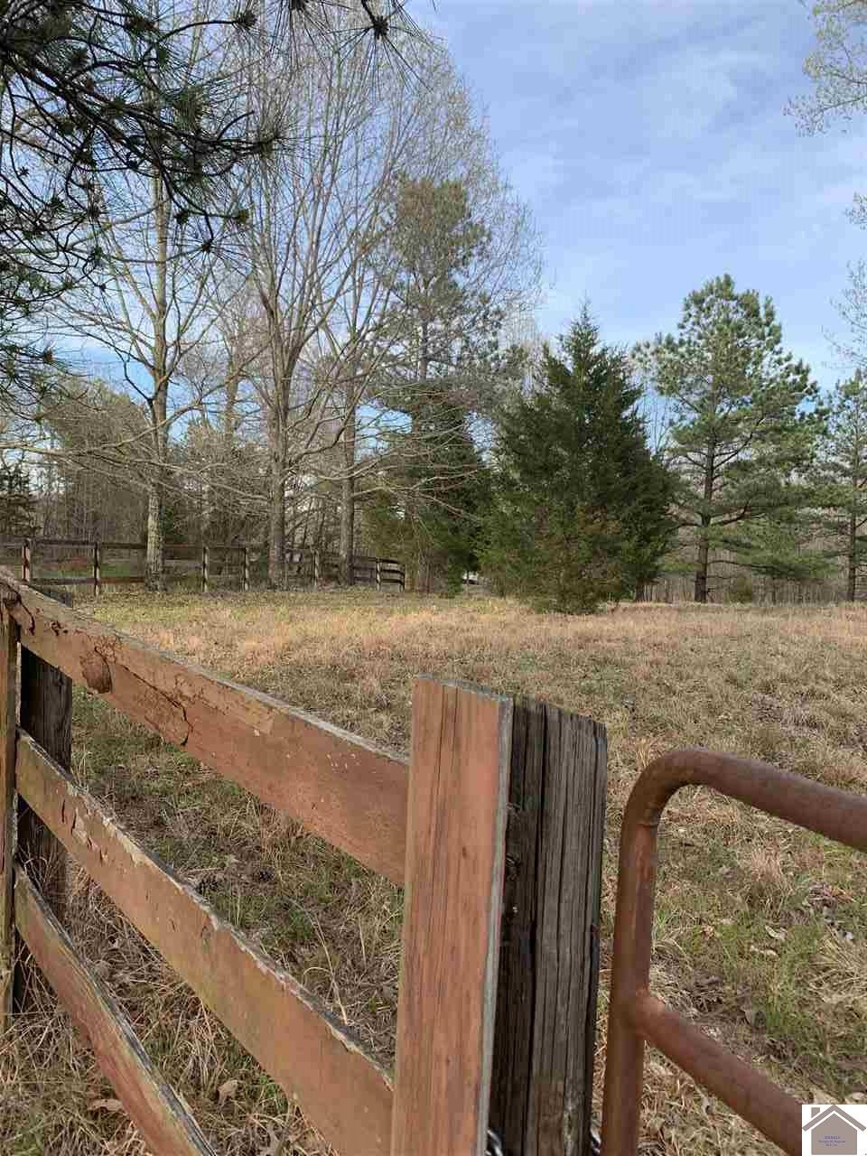 0 Protemus Road Murray, KY 42071 - Photo 1 of 1 Photo 1