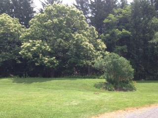13164 State Rte 422 Kittanning, PA 16201 - Photo 3 of 15 Land/Lot.