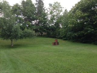 13164 State Rte 422 Kittanning, PA 16201 - Photo 4 of 15 Land/Lot.
