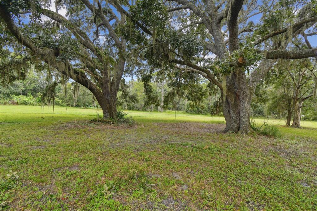 13711 Lussier Lane Spring Hill, FL 34610 - Photo 30 of 100