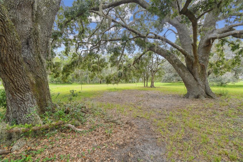 13711 Lussier Lane Spring Hill, FL 34610 - Photo 31 of 100 a view of outdoor space with trees