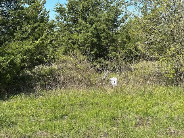 a view of a tree in a yard
