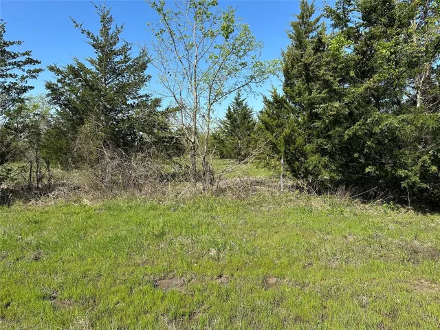 a view of a yard with a tree