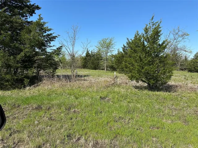 a view of outdoor space with trees all around