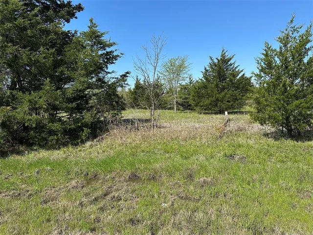 a view of a yard with wooden fence