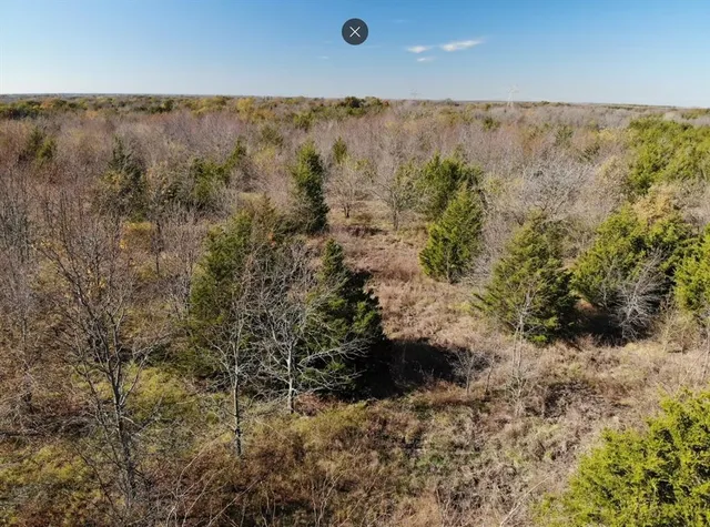 a view of a backyard of a house