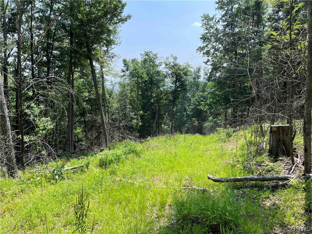 0 Gleason Hollow Road Belfast, NY 14711 - Photo 13 of 27 Gallery Image 13