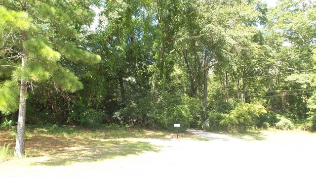 3585 Forrest Road Columbus, GA 31907 - Photo 5 of 21 a view of a tree in a yard