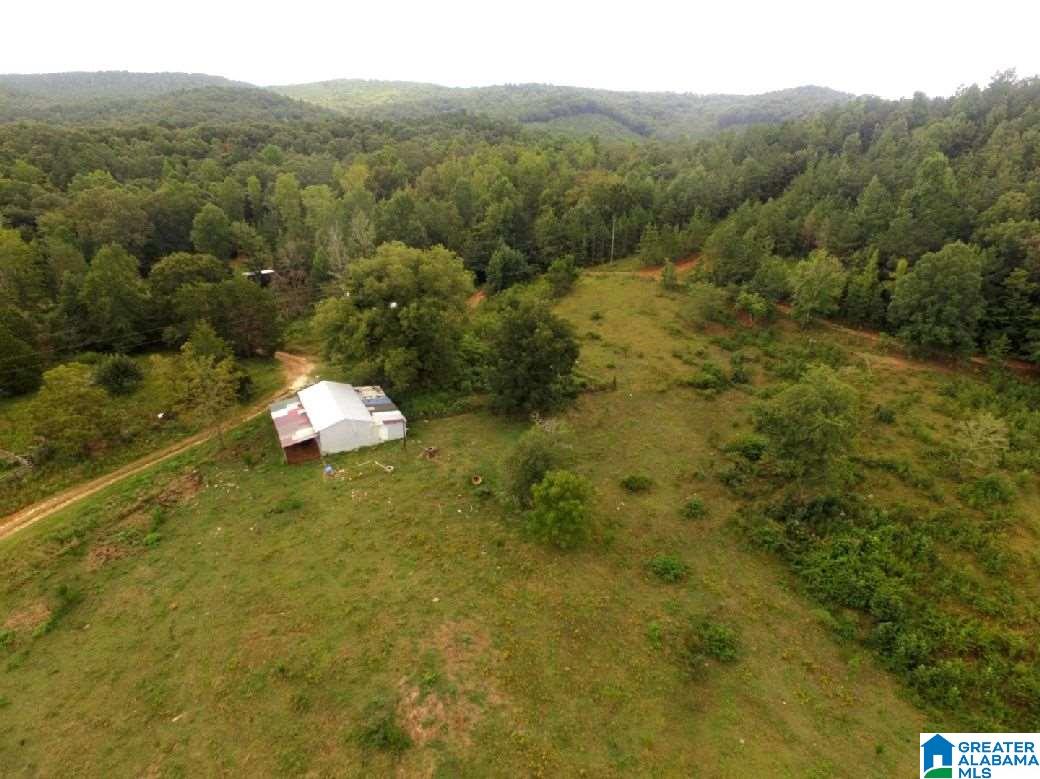 796 Alawashky Road, Unit 46 ACRES Ashland, AL 36251 - Photo 8 of 17