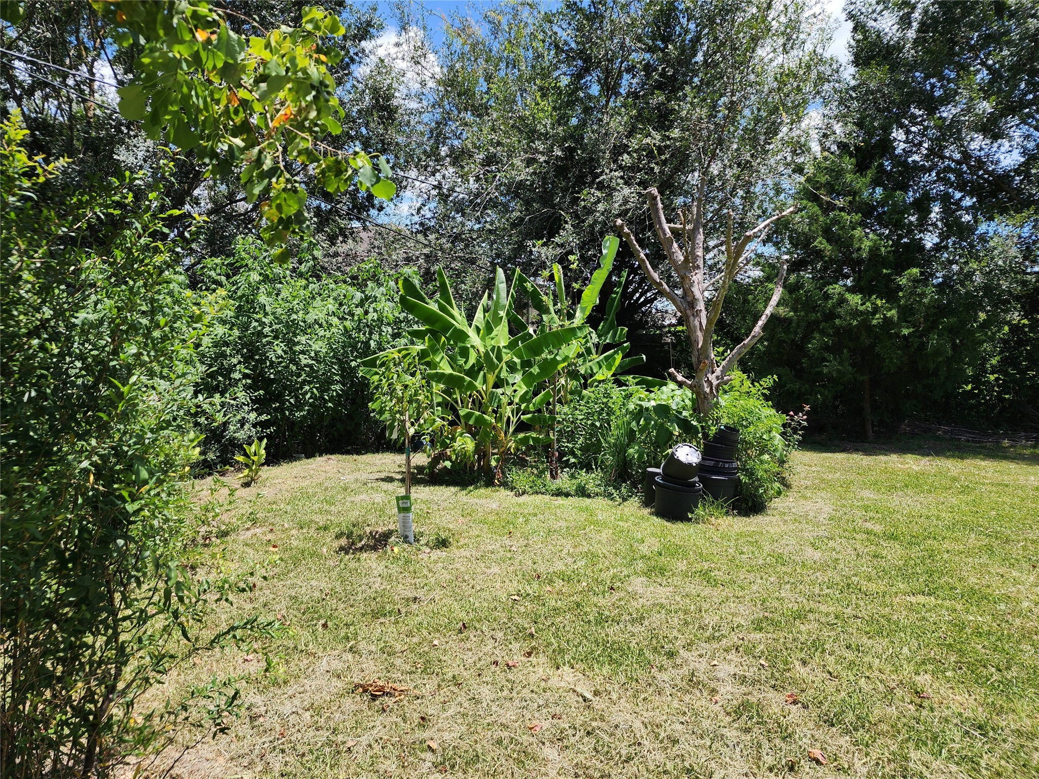 0 Rice Avenue Rosharon, TX 77583 - Photo 4 of 9 a view of a yard with a tree