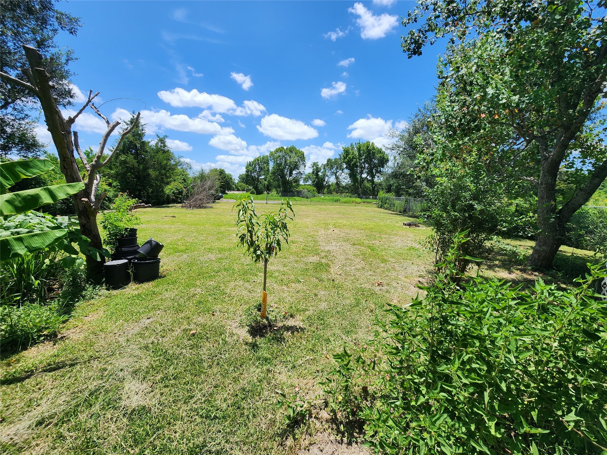 0 Rice Avenue Rosharon, TX 77583 - Photo 5 of 9 a view of a garden with a tree