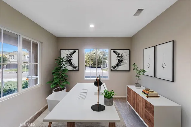 a living room with furniture and a potted plant