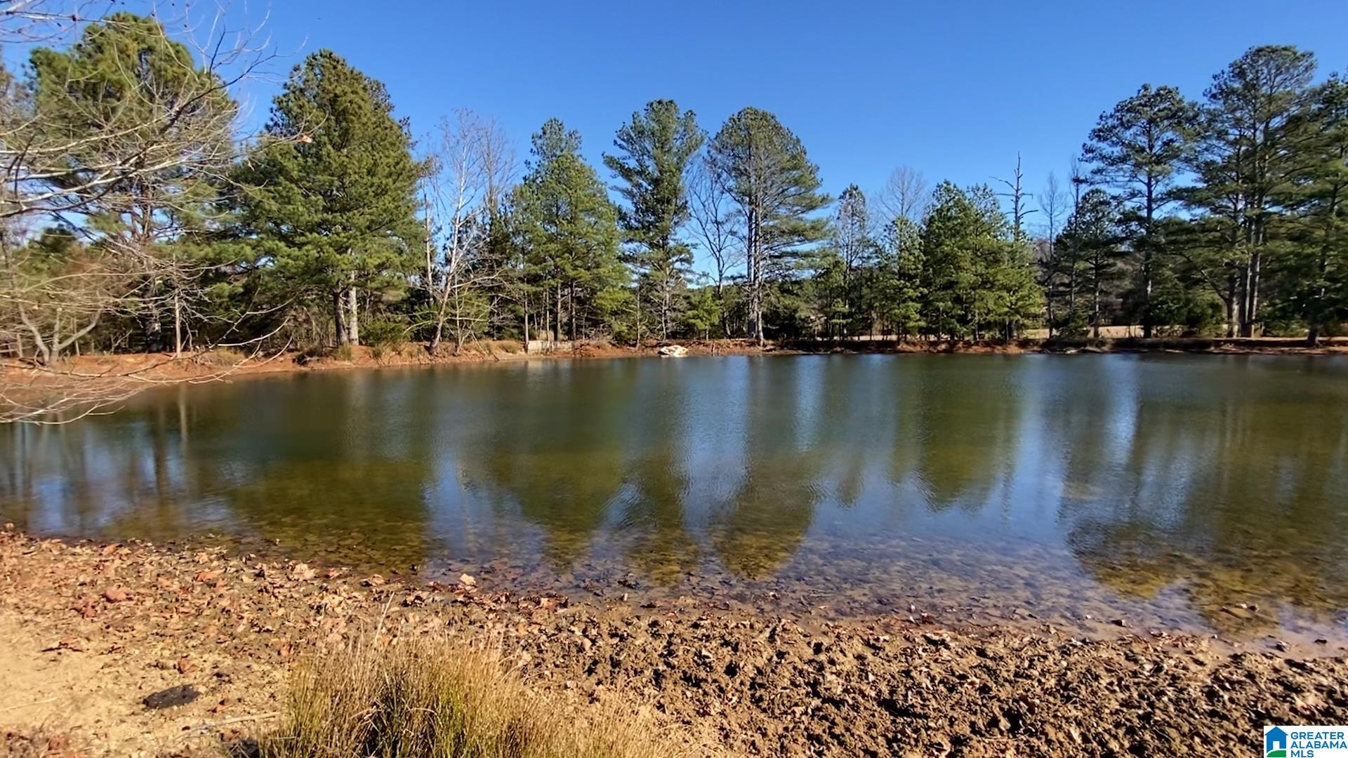 0 Highway 132, Unit 11 / ACRES Oneonta, AL 35121 - Photo 2 of 18