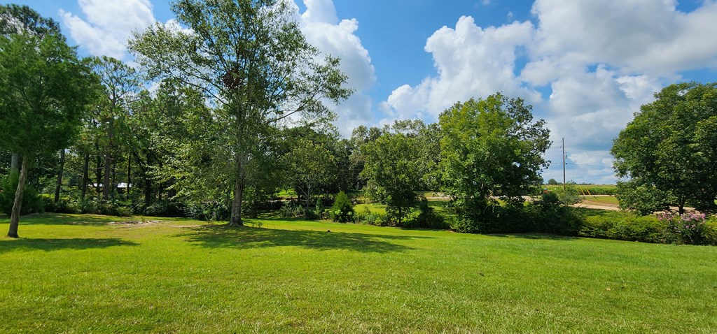 2120 County Line Road Dothan, AL 36305 - Photo 53 of 68