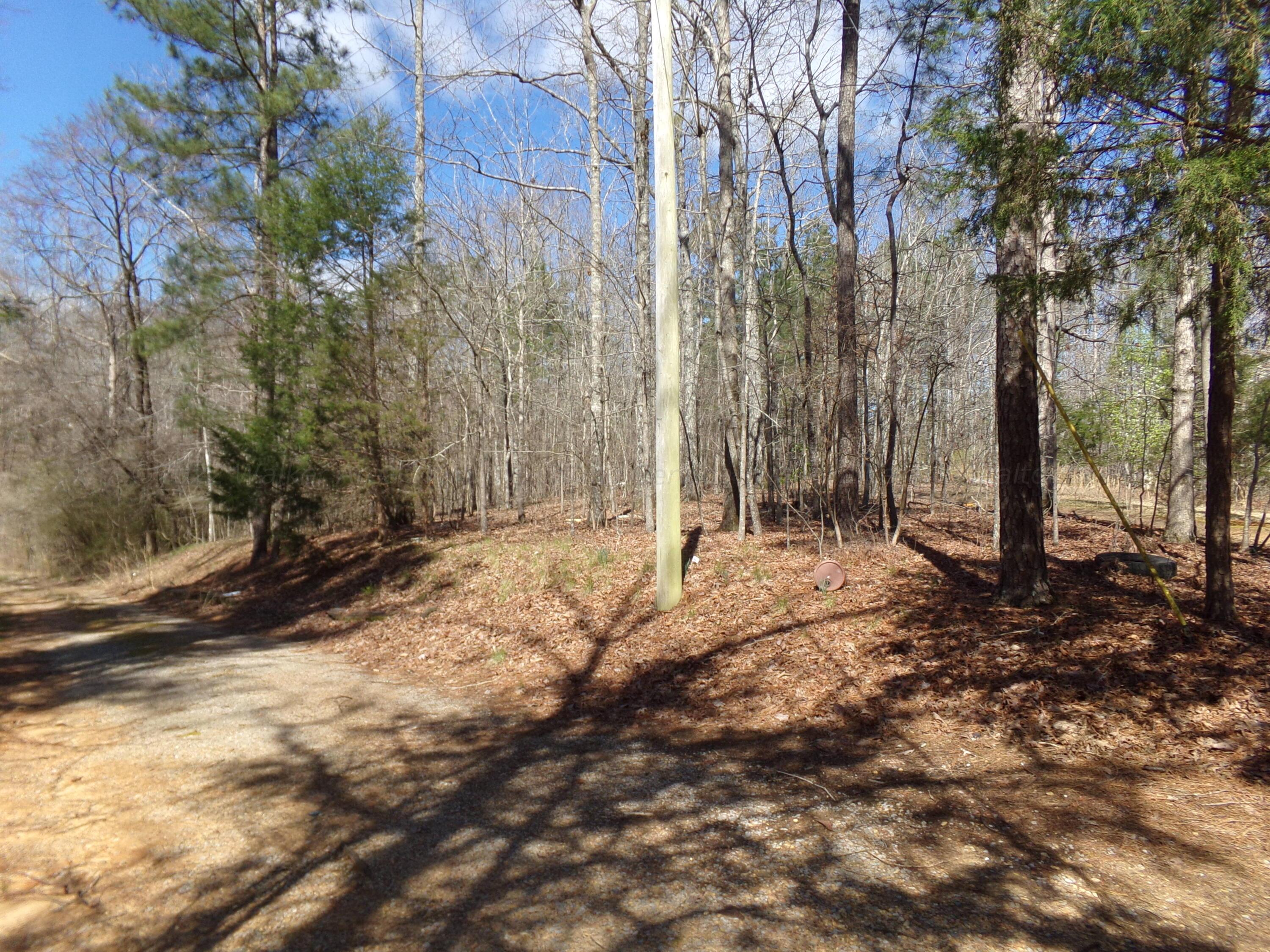 239 Ada Drummond Road Jasper, AL 35504 - Photo 10 of 10 Gallery Image 10