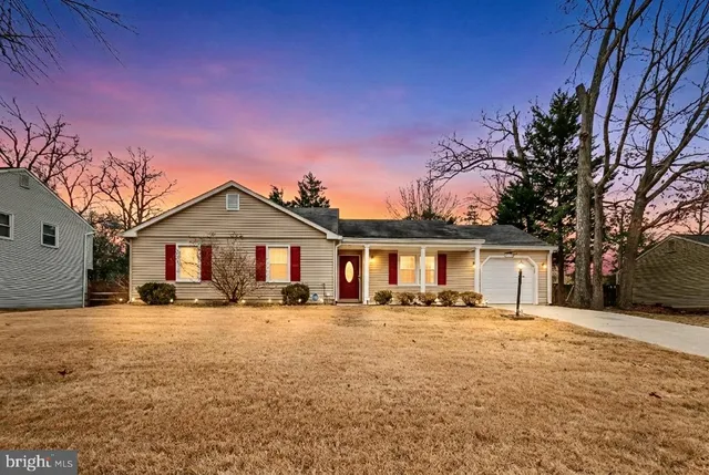 a view of a yard in front of a house with a yard