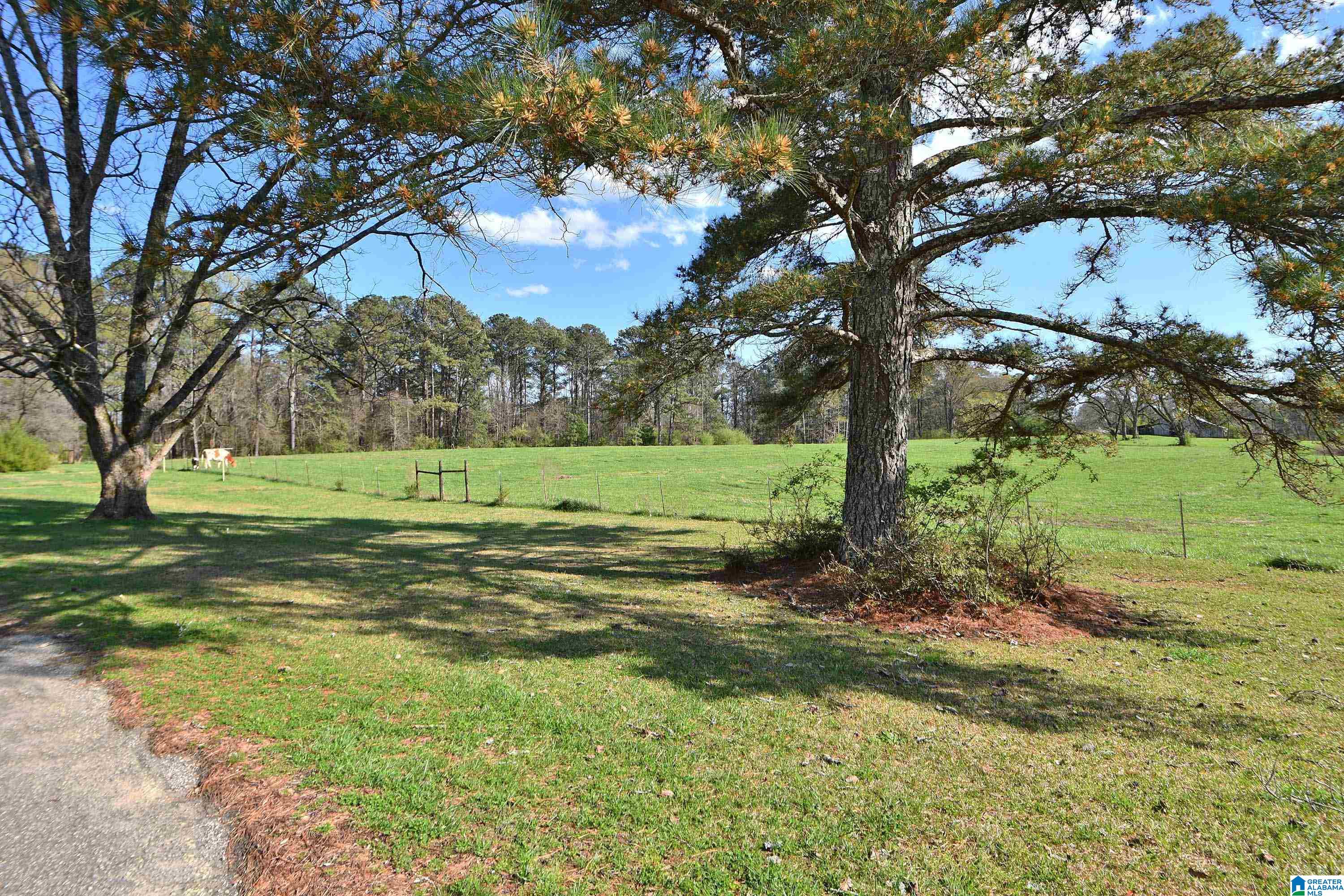 1409 Doublehead Road Roanoke, AL 36274 - Photo 27 of 27