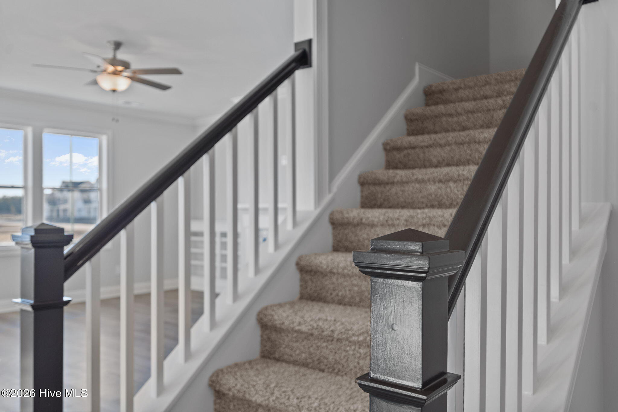 801 Tupelo Tree Drive Hubert, NC 28539 - Photo 58 of 65 58-web-or-mls-_RAD5457