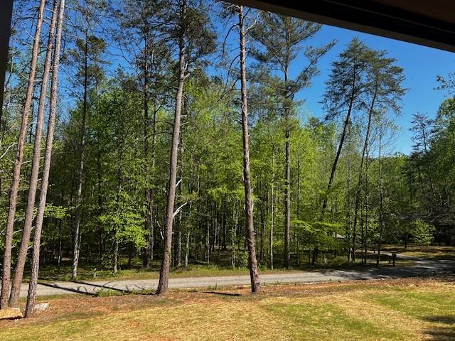 258 Rocky Hollow Road Ellijay, GA 30536 - Photo 2 of 9