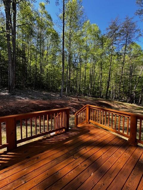 258 Rocky Hollow Road Ellijay, GA 30536 - Photo 8 of 9