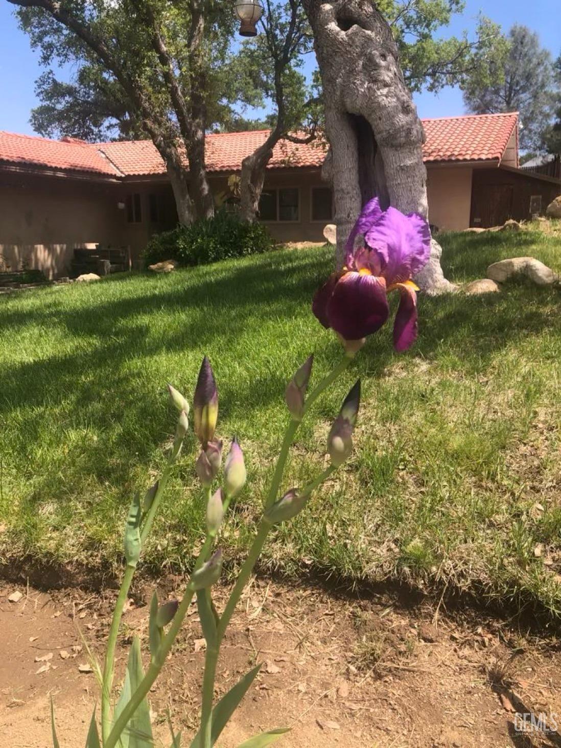 Undisclosed Address Tehachapi, CA 93561 - Photo 2 of 22 a backyard of a house with a yard and outdoor seating