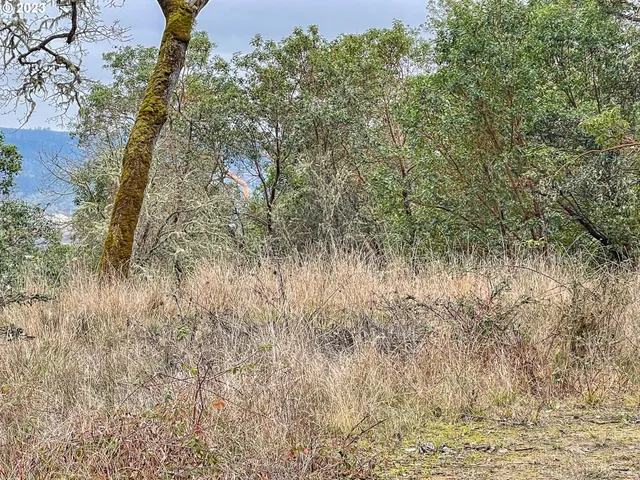 $75,000 | 1291 Northwest Sweetbrier Avenue, Roseburg, OR 97471