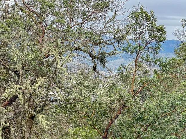 $75,000 | 1291 Northwest Sweetbrier Avenue, Roseburg, OR 97471