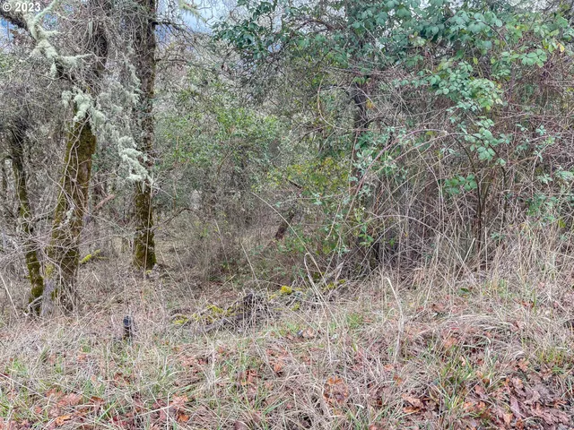 $75,000 | 1291 Northwest Sweetbrier Avenue, Roseburg, OR 97471