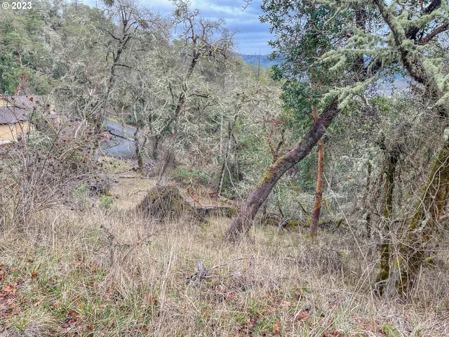 $75,000 | 1291 Northwest Sweetbrier Avenue, Roseburg, OR 97471