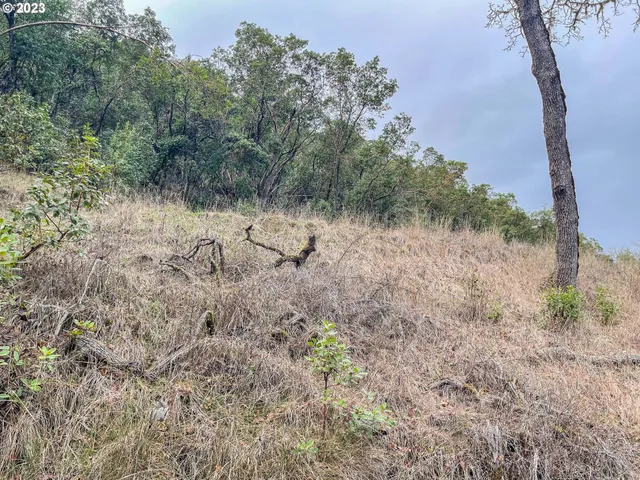 $75,000 | 1291 Northwest Sweetbrier Avenue, Roseburg, OR 97471