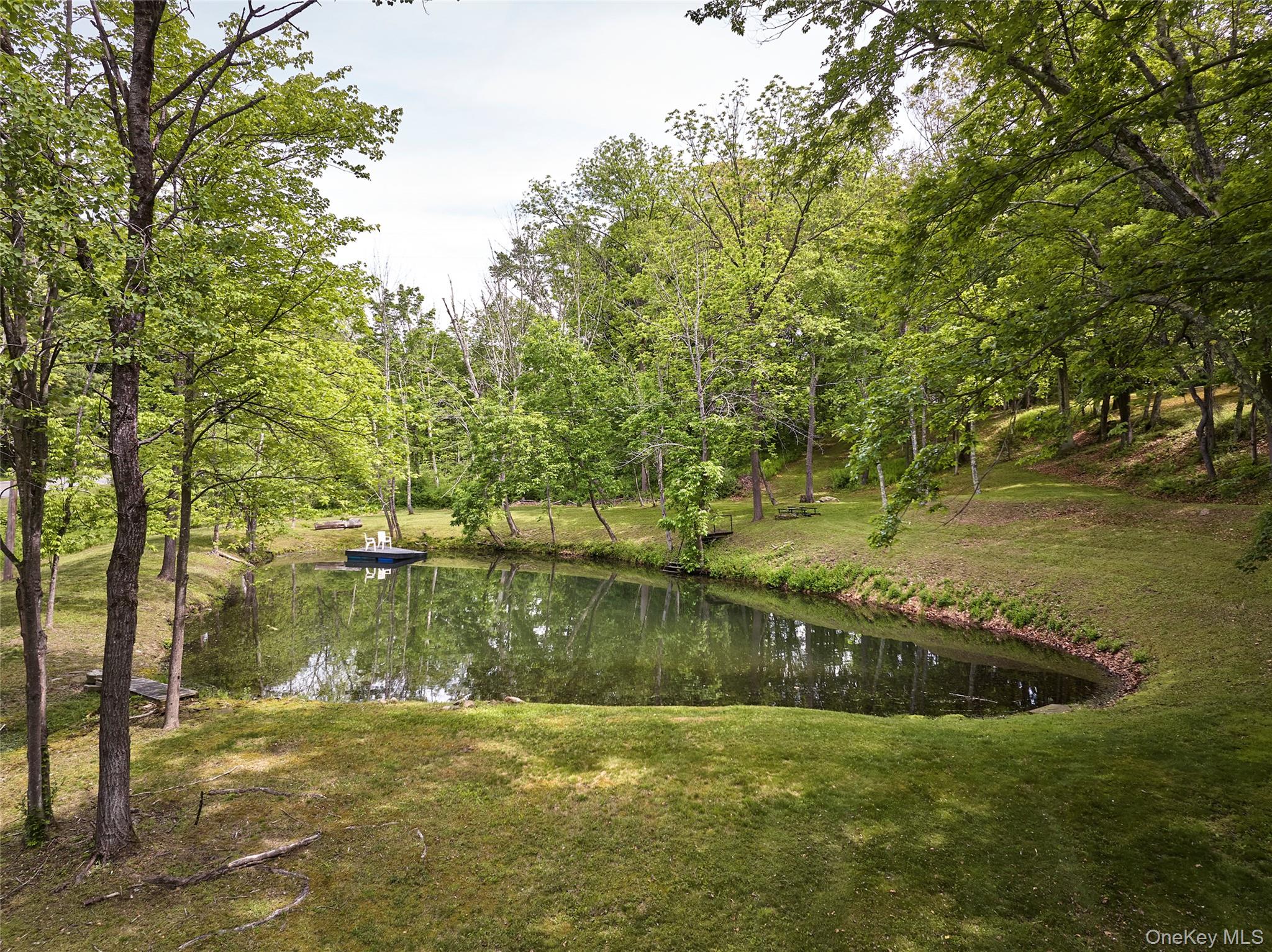 611 North Clove Road Millbrook, NY 12545 - Photo 23 of 25