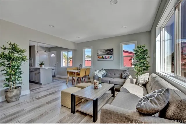 a living room with furniture potted plant kitchen view and a potted plant
