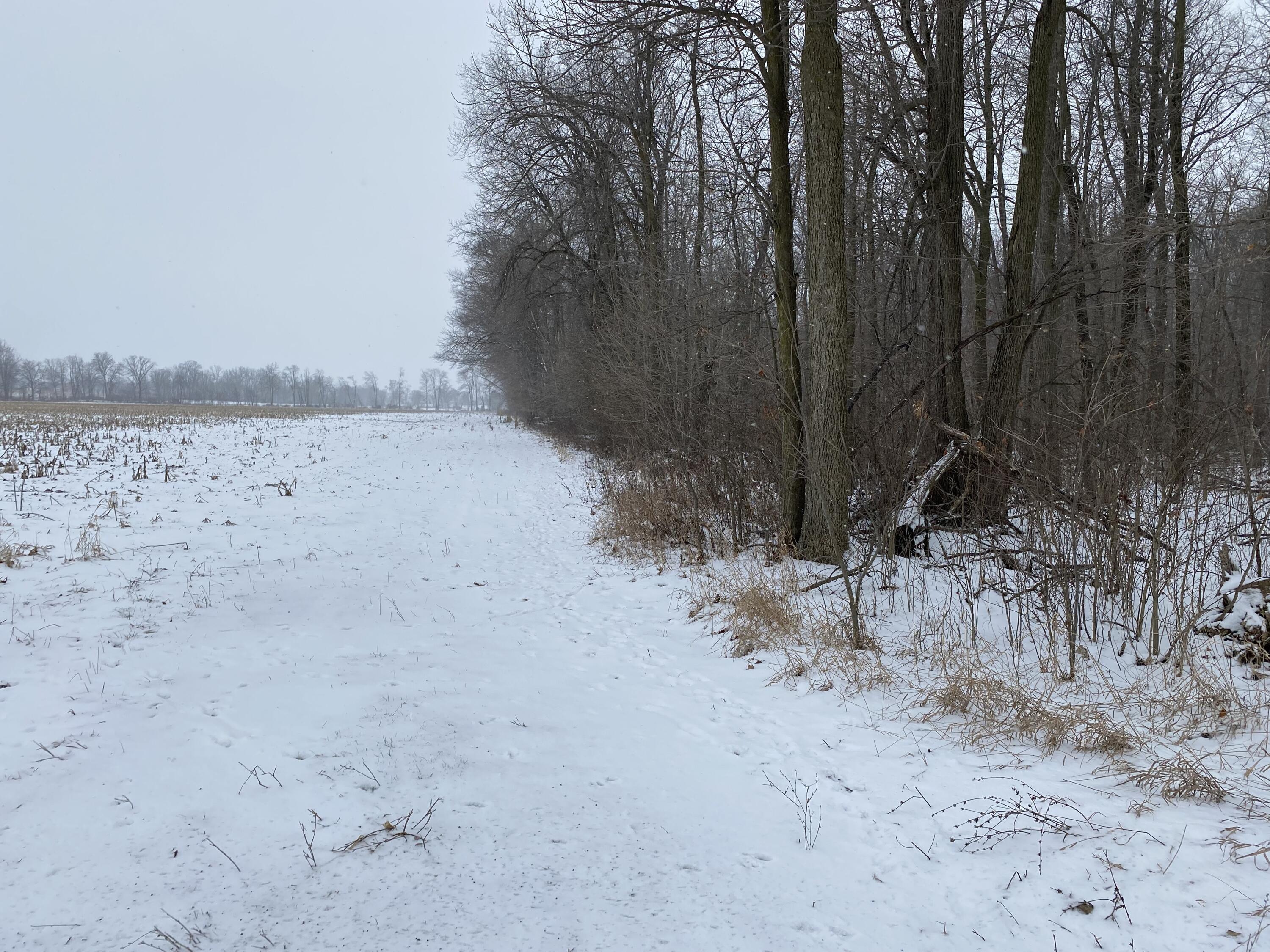 West Copeland Road, Unit 2 Bronson, MI 49028 - Photo 2 of 6 IMG_3400