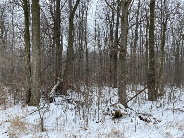 $720,000 | West Copeland Road, Unit 2, Bronson, MI 49028