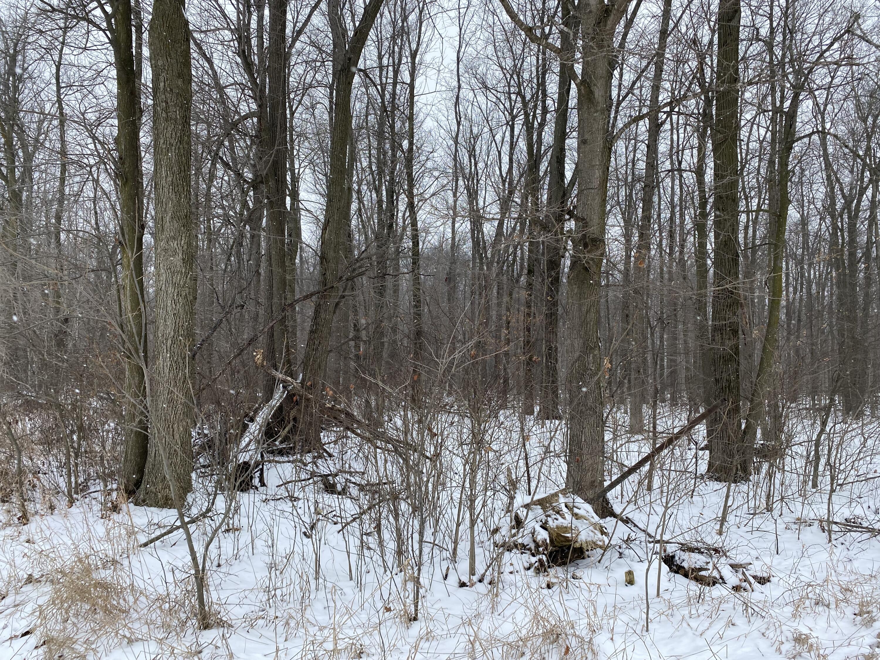 West Copeland Road, Unit 2 Bronson, MI 49028 - Photo 3 of 6 IMG_3401