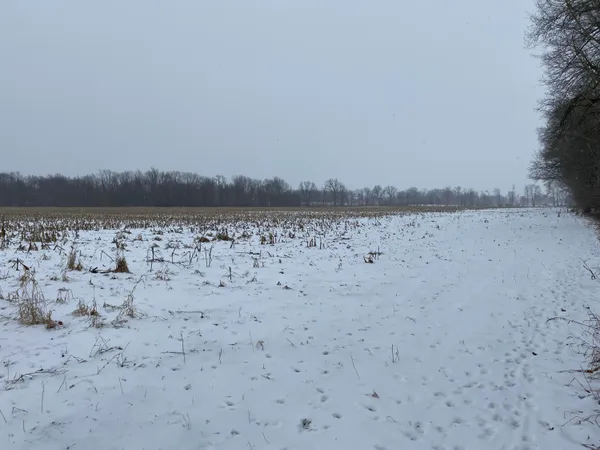 $720,000 | West Copeland Road, Unit 2, Bronson, MI 49028