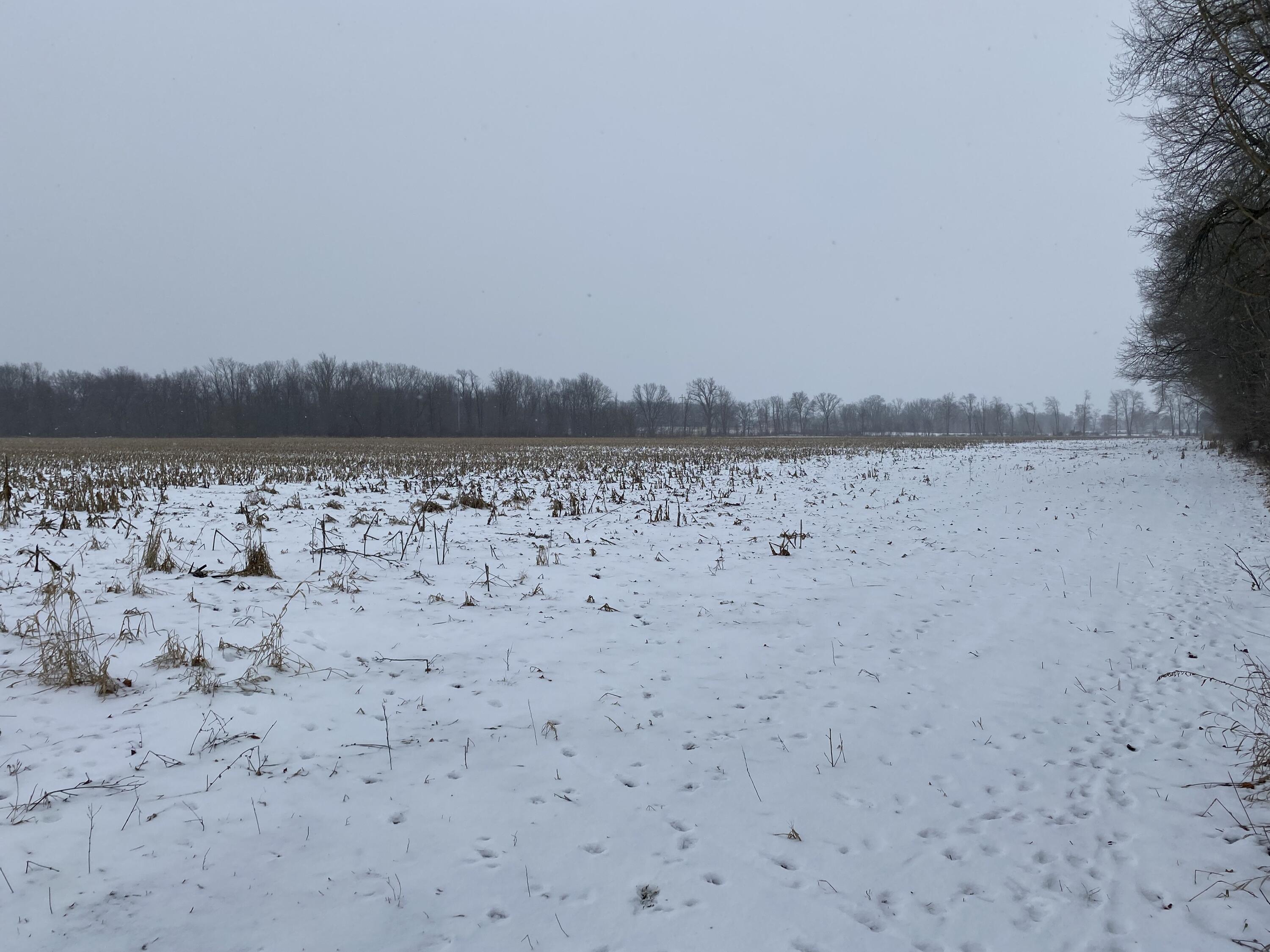 West Copeland Road, Unit 2 Bronson, MI 49028 - Photo 4 of 6 IMG_3402